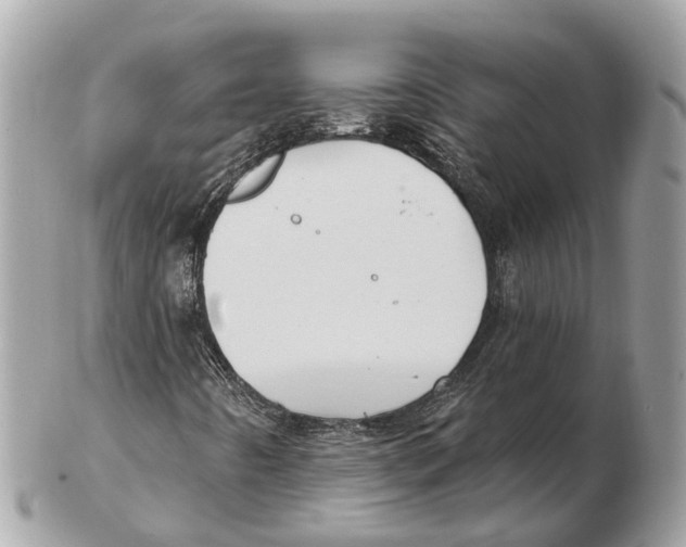 X0000102461442200809051259