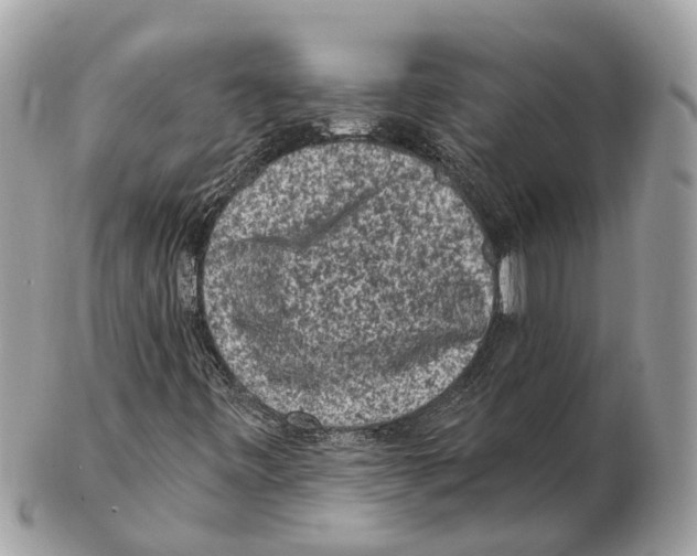 X0000102461443200809051259