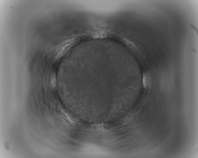 X0000102461444200809051259