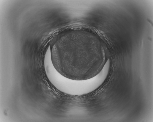 X0000102461445200809051259