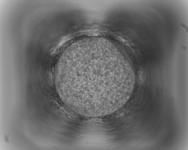 X0000102461446200809051259
