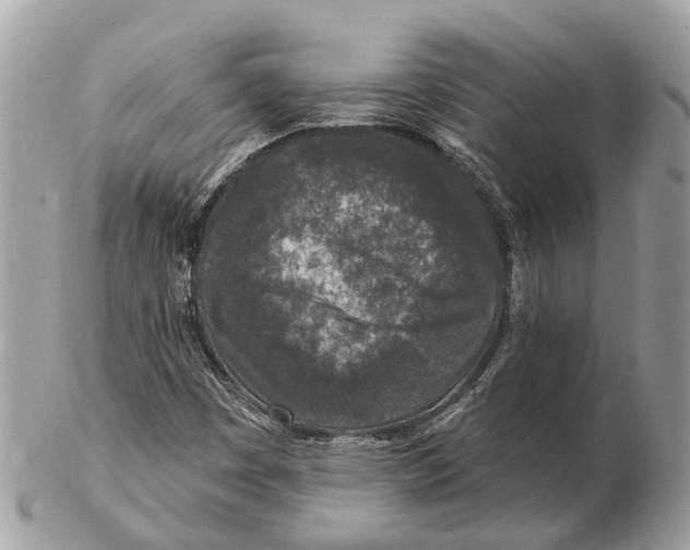 X0000102461449200809051259