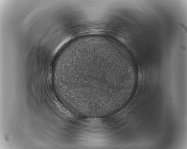 X0000102461450200809051259