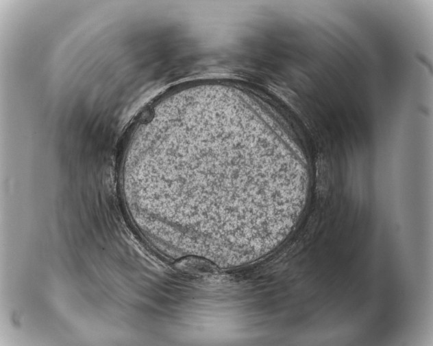 X0000102461452200809051259