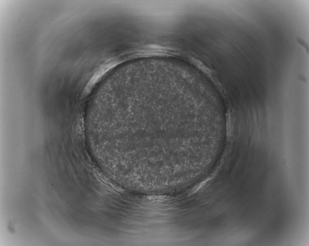 X0000102461453200809051259