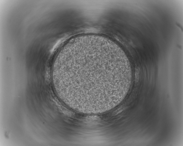 X0000102461454200809051259