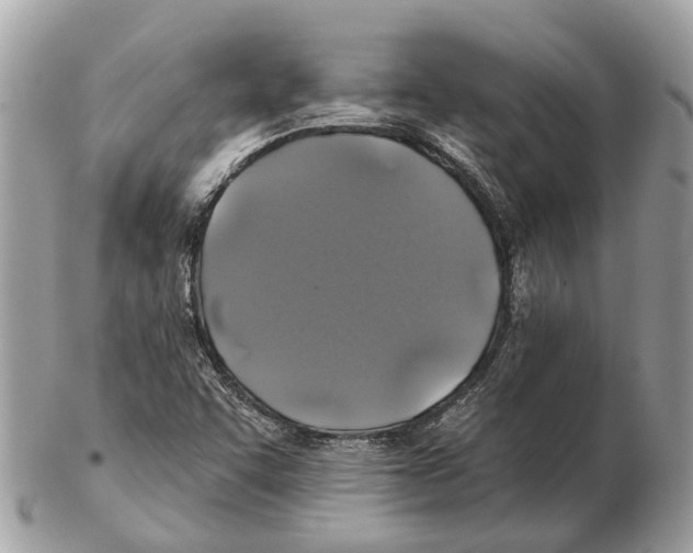 X0000102461455200809051259