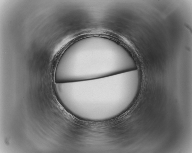 X0000102461456200809051259