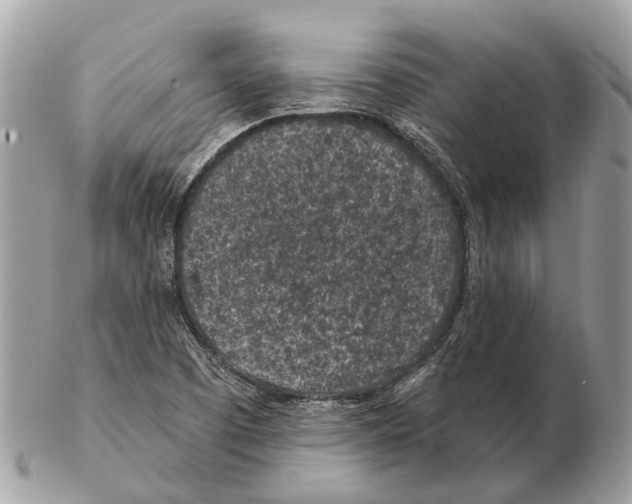 X0000102461457200809051259