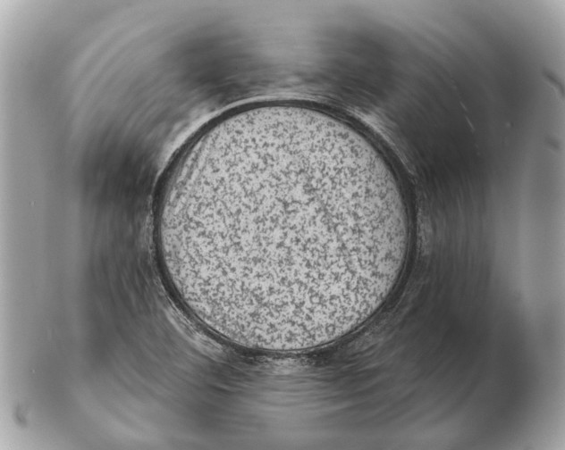 X0000102461460200809051259