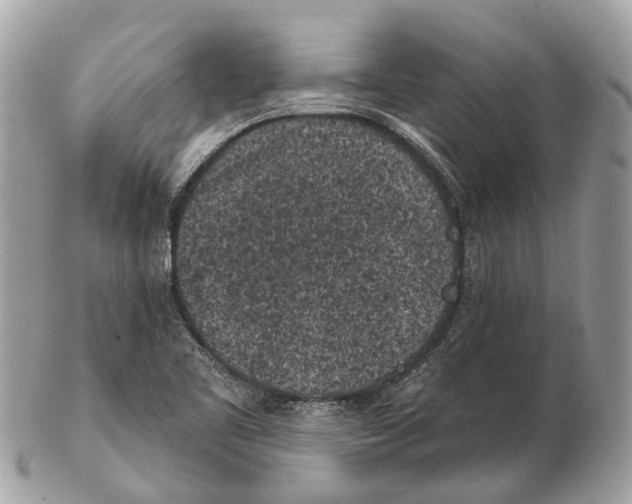 X0000102461461200809051259