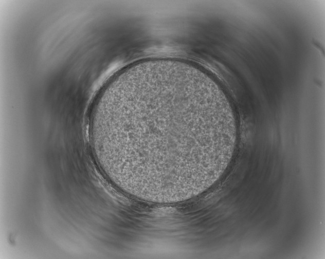 X0000102461462200809051259