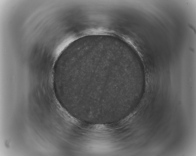 X0000102461463200809051259