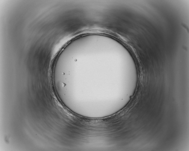X0000102461464200809051259
