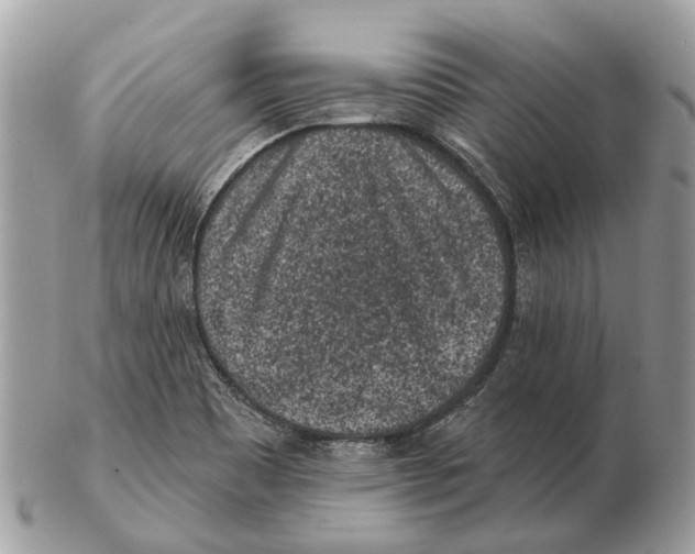 X0000102461465200809051259