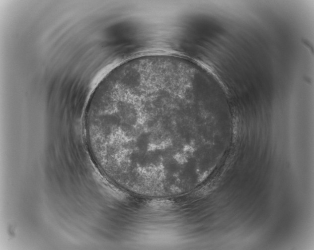 X0000102461466200809051259