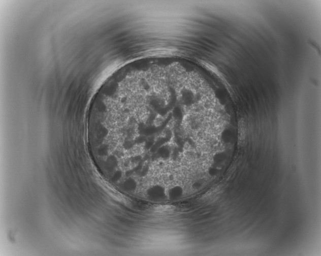 X0000102461467200809051259