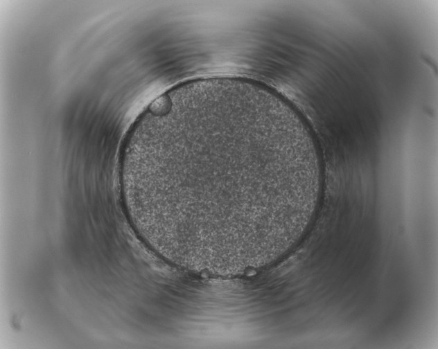 X0000102461469200809051259