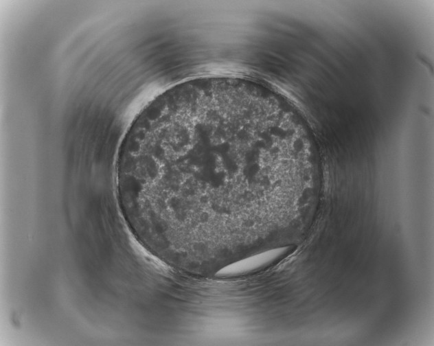 X0000102461471200809051259