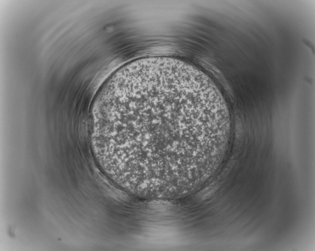 X0000102461473200809051259