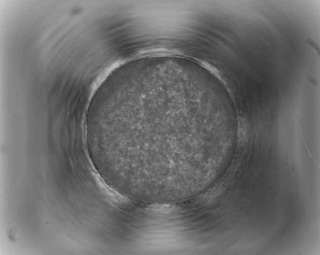 X0000102461474200809051258