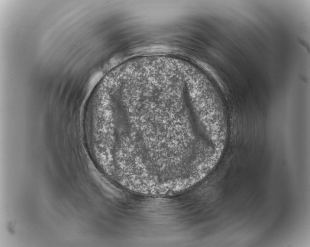 X0000102461475200809051258