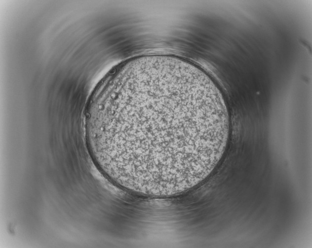 X0000102461476200809051258