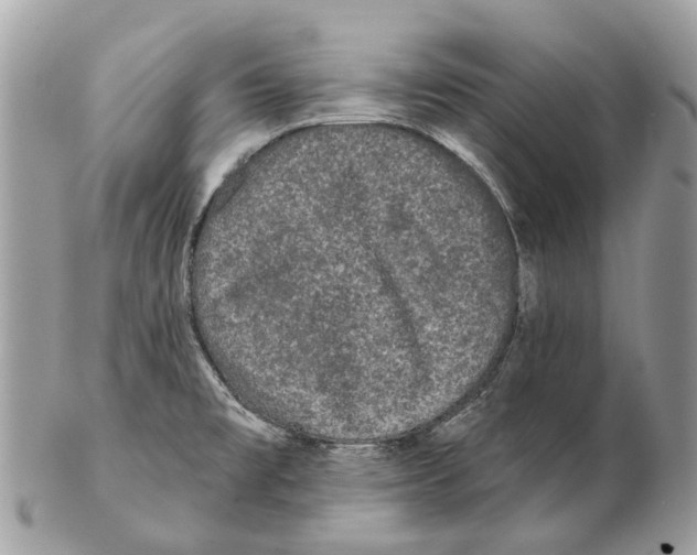 X0000102461477200809051258