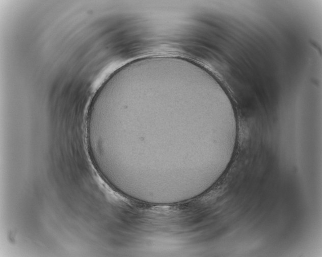 X0000102461478200809051258