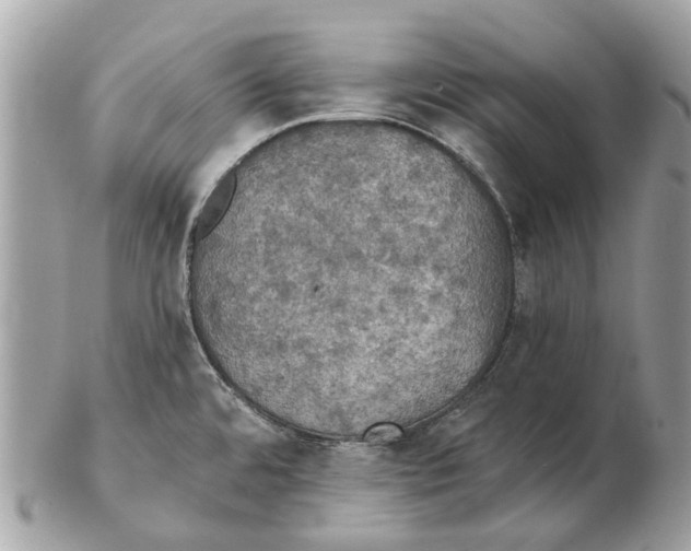 X0000102461480200809051258