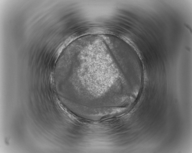 X0000102461481200809051258
