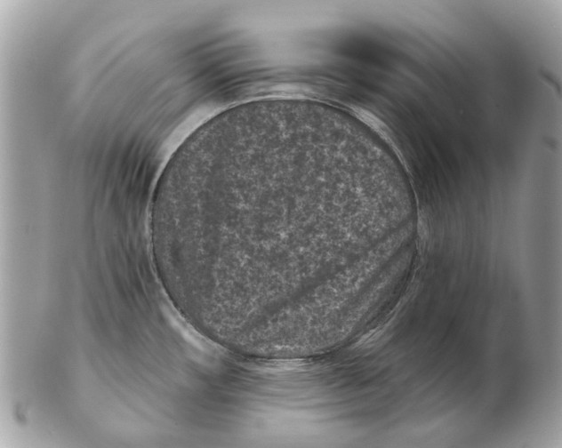 X0000102461482200809051258