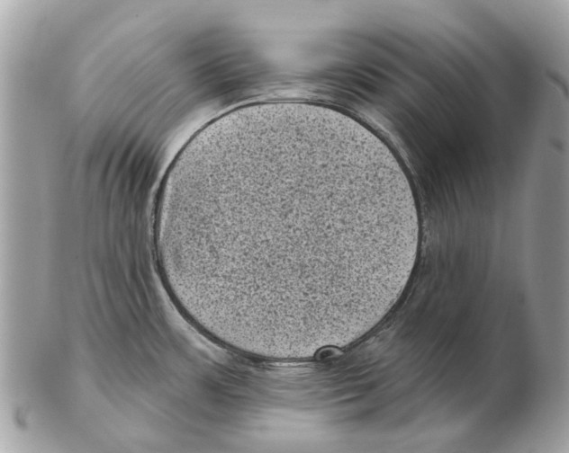 X0000102461483200809051258