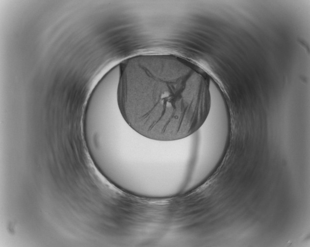 X0000102461484200809051258