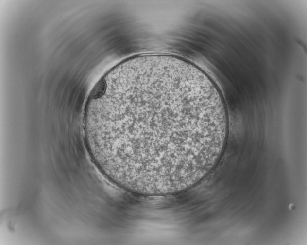X0000102461485200809051258