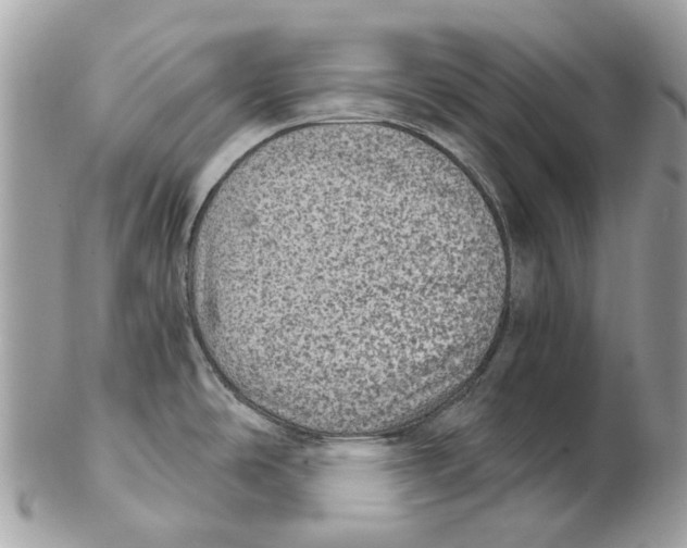 X0000102461486200809051258