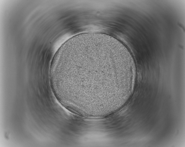X0000102461487200809051258
