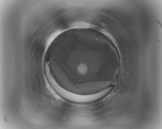 X0000102461488200809051258
