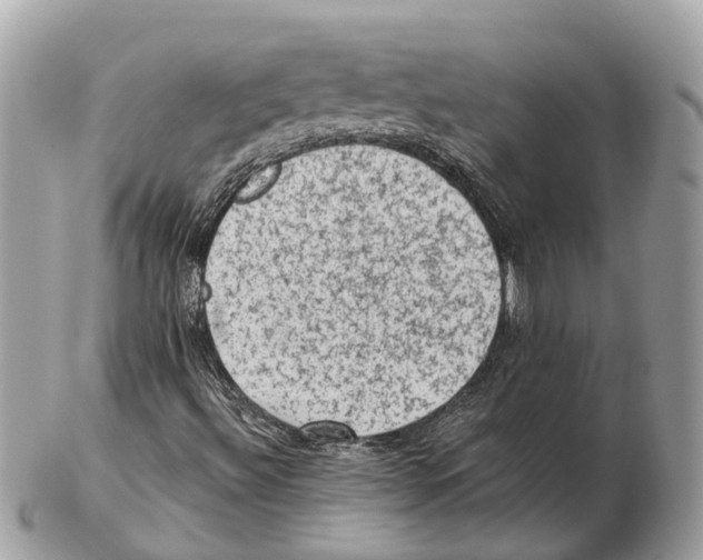 X0000102461492200809051258
