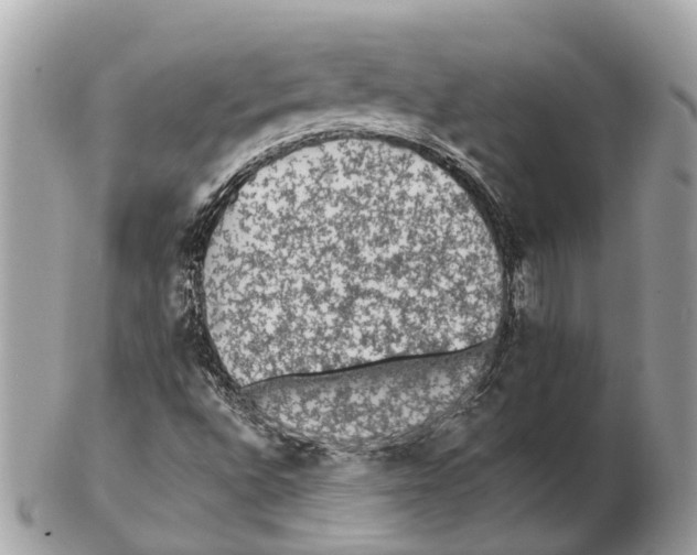 X0000102461496200809051258