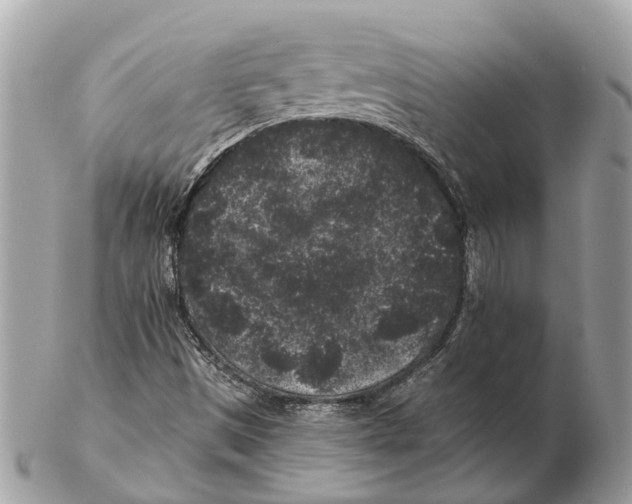 X0000102461497200809051258