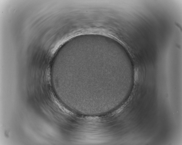 X0000102461498200809051258