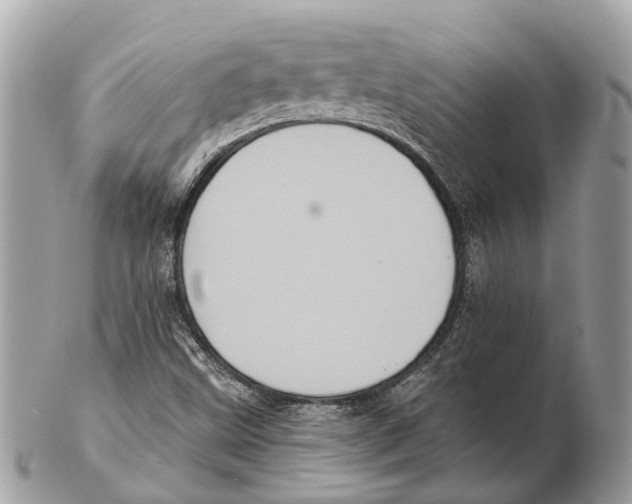 X0000102461499200809051258
