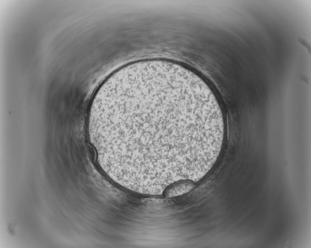 X0000102461500200809051258