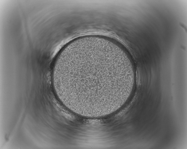 X0000102461501200809051258