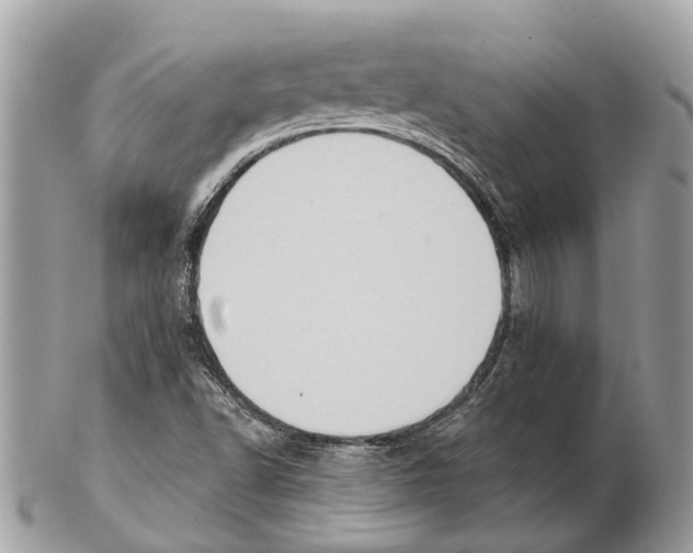 X0000102461502200809051258