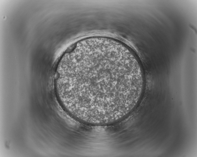 X0000102461504200809051258