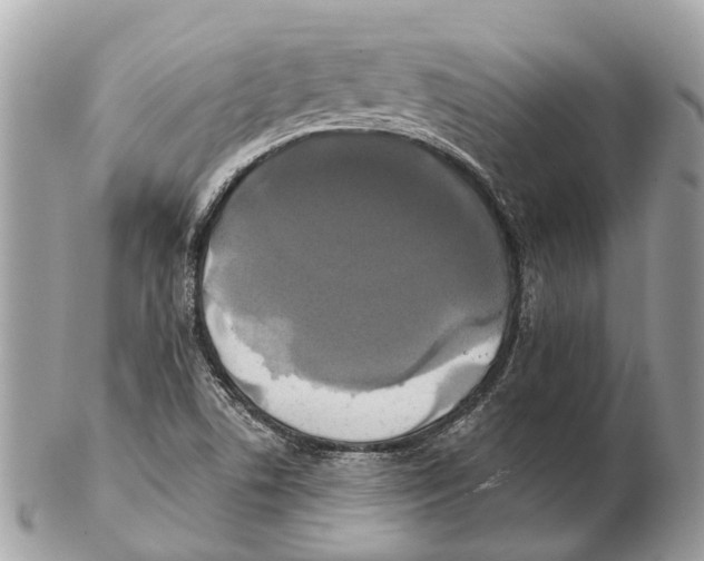 X0000102461506200809051258