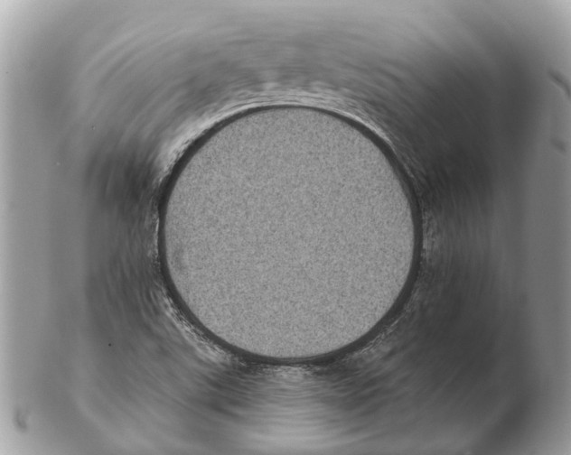 X0000102461507200809051258