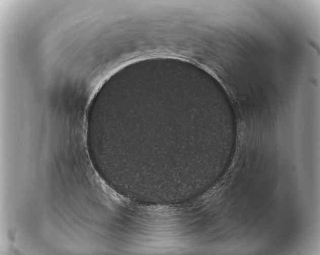 X0000102461508200809051258